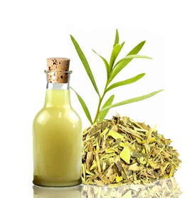 oil-creamy-6a.jpg oil-creamy-6a.jpg